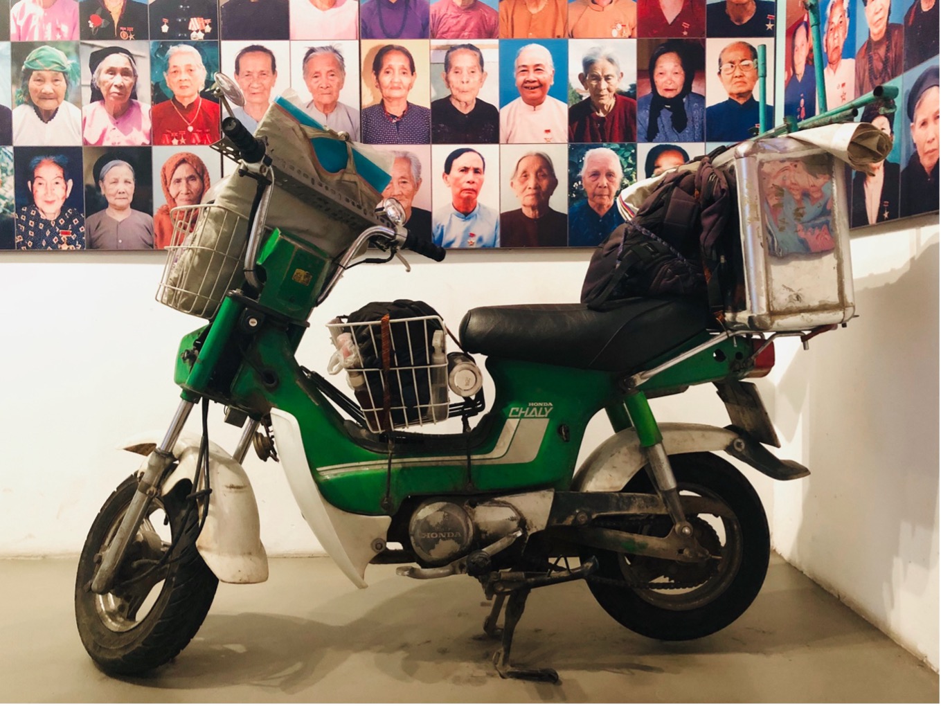 DossierJohnson Fig 8